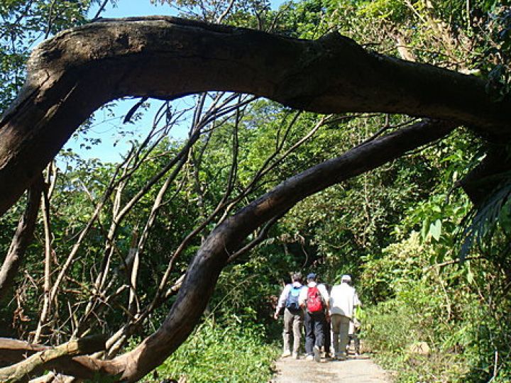 爬山去